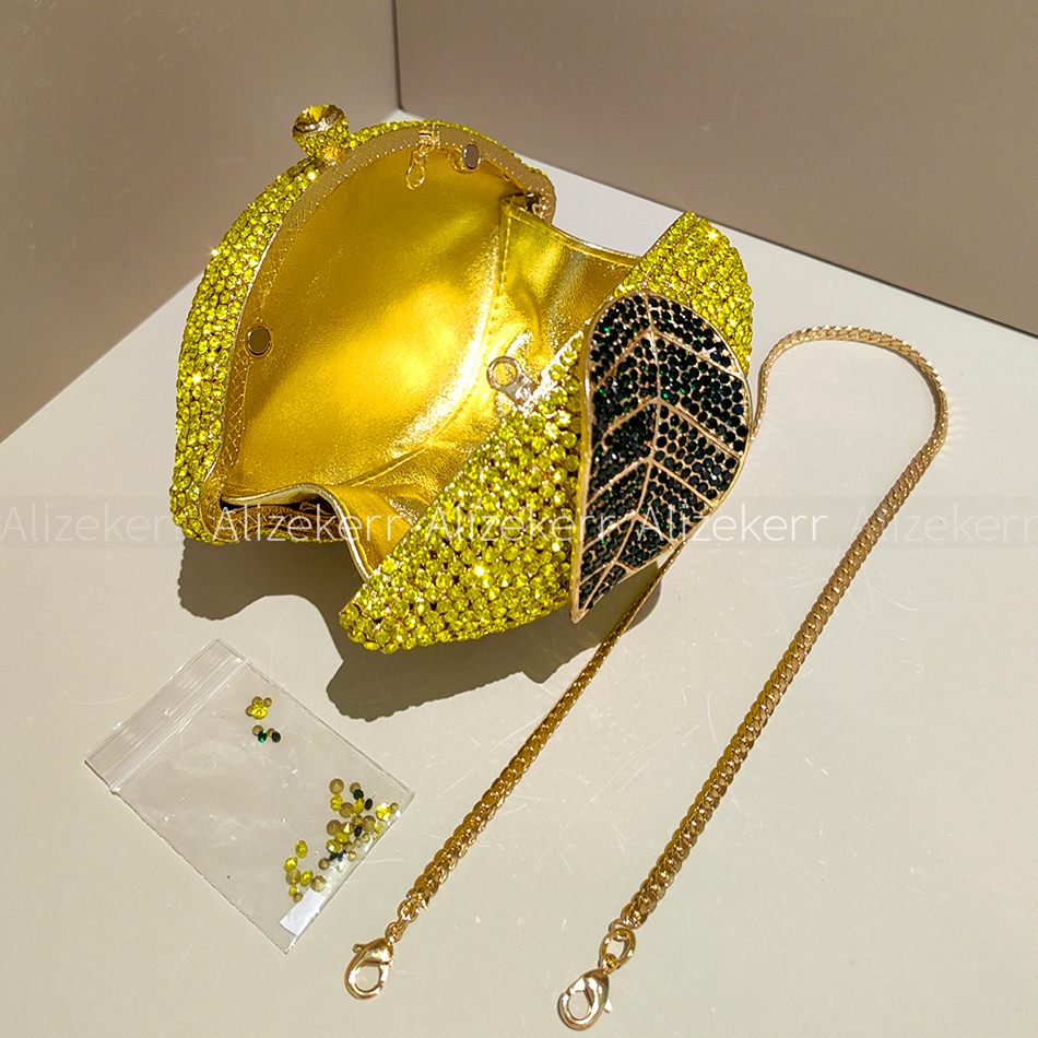 Alizekerr حقائب سهرة ماسية على - مراجعة Wallet Chain Bag وسعره